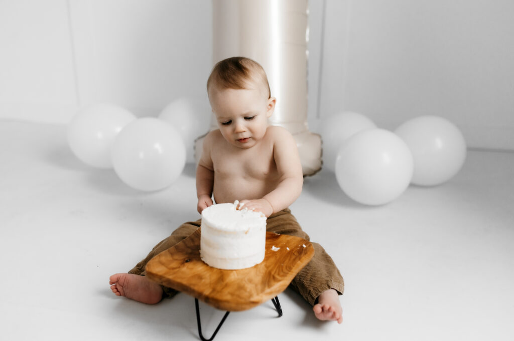 Studio family photographer Twin Cities