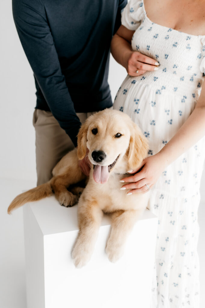 Somerset WI family photographer