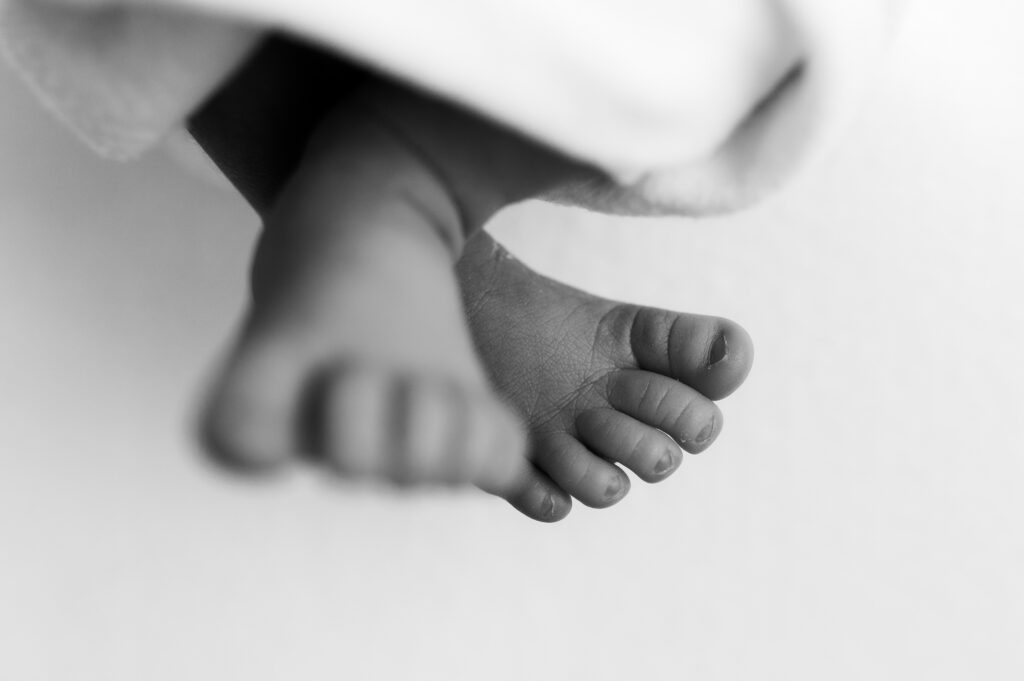 Minimal newborn photography Wisconsin