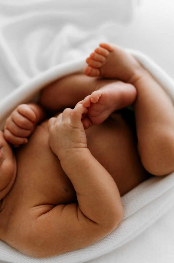 Stillwater MN newborn photography