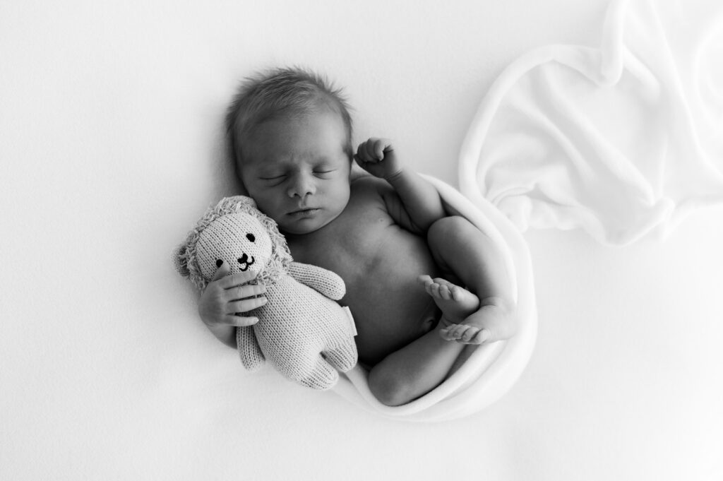 Minimal studio newborn photographer Minnesota