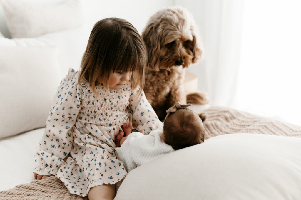 Big sister and dog look down at newborn in natural light. 
