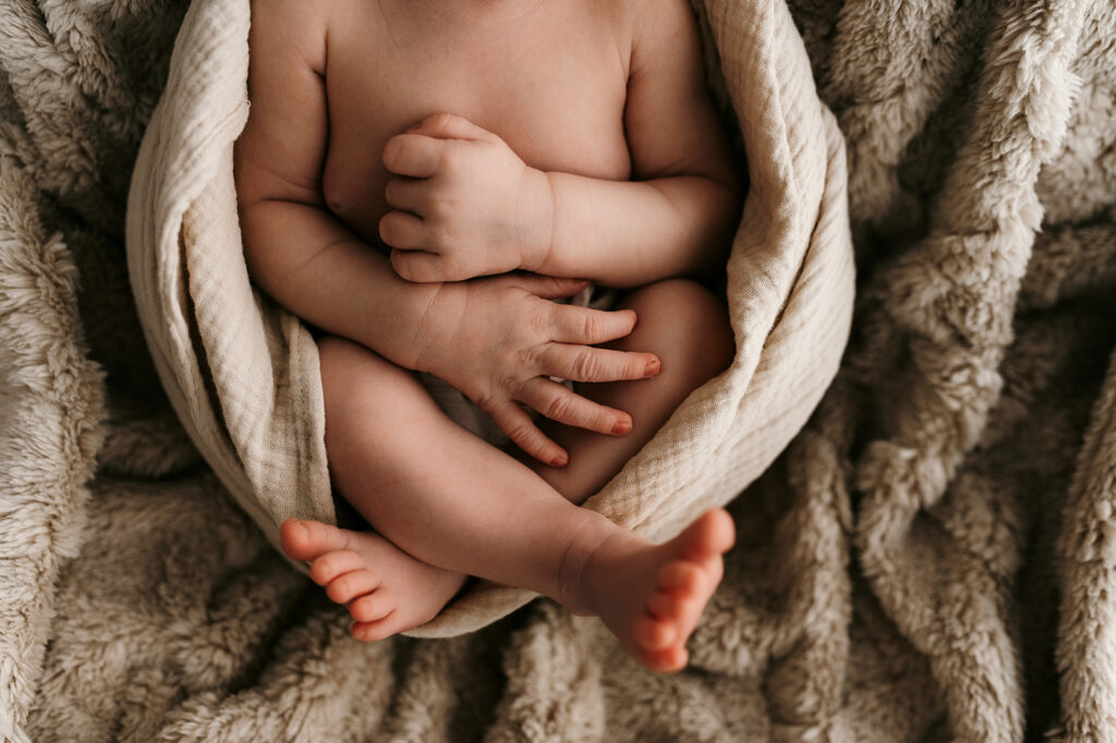 Hudson WI newborn sessions