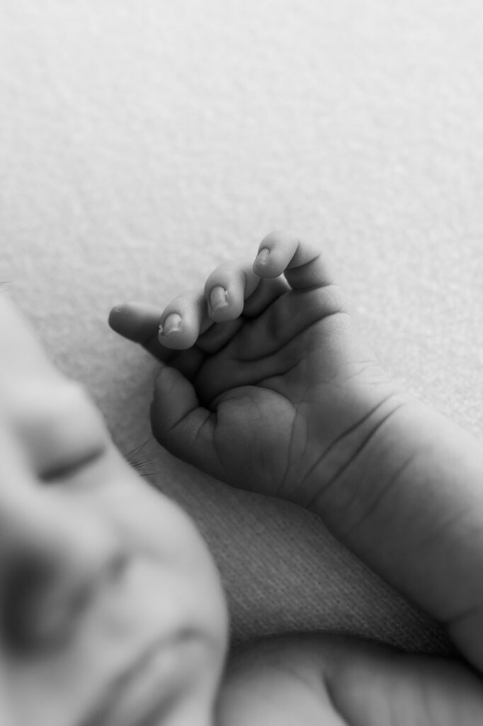 Stillwater MN newborn photography