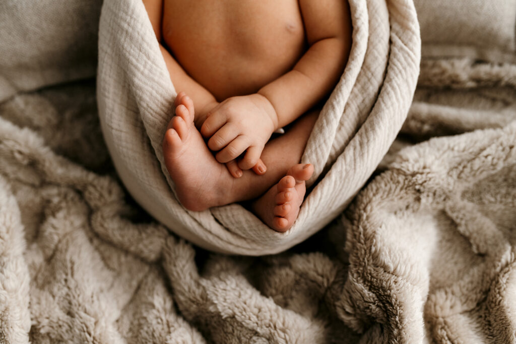 posed newborn photography Wisconsin