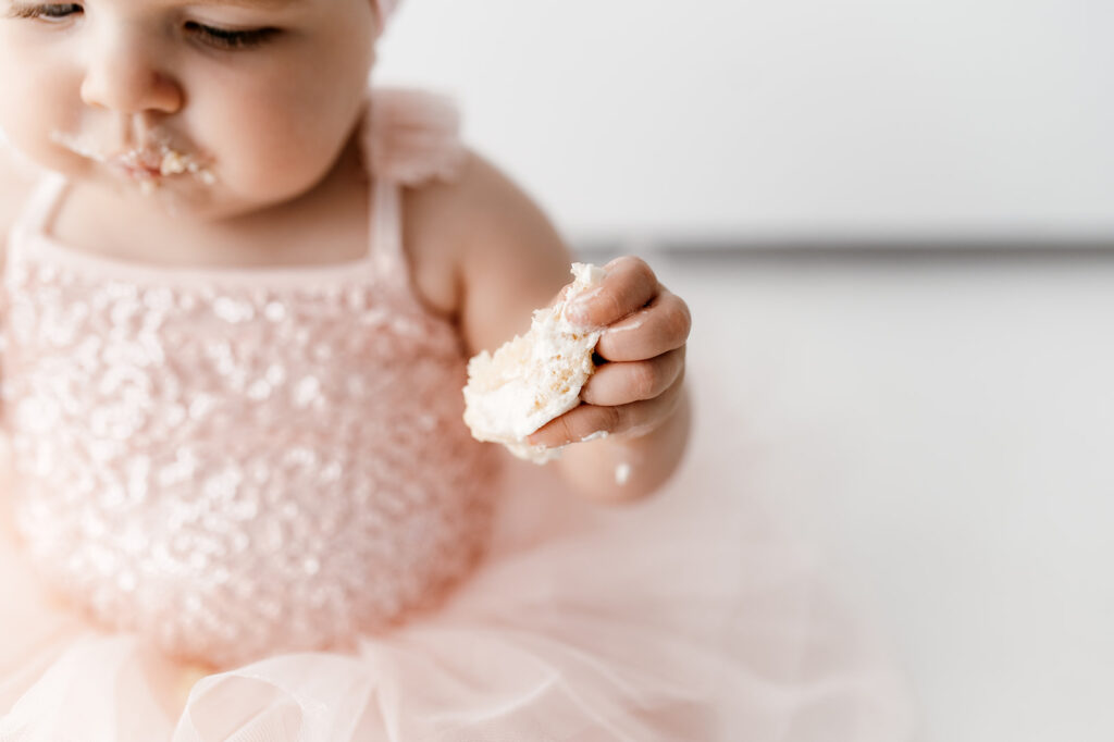 Cake smash photographer Wisconsin