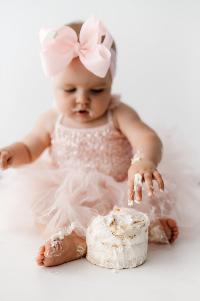 St. Croix Valley cake smash session