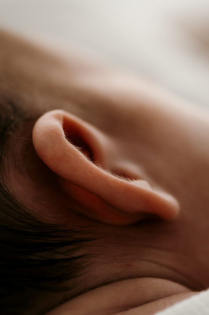 Close up of newborn baby ear in soft natural light